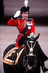 The Queen Trooping The Colour takes salute at Palace gates . June 1984 The Queen Trooping The Colour takes salute at Palace gates . June 1984
