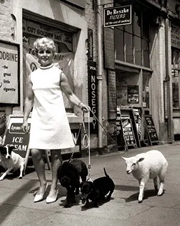 Rachel Hasker taking her pets for a walk Sarah the lamb Rachel Hasker taking her pets for a walk Sarah the lamb