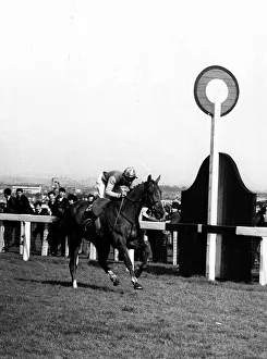 Red Alligator and Brian Fletcher win Grand National. 1968 Red Alligator and Brian Fletcher win Grand National. 1968