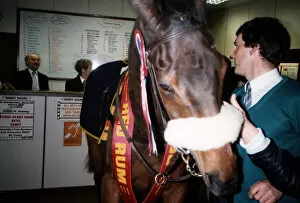 Images Dated 7th March 1992: Red Rum with his lad at Surrey Racing in Woking Surrey