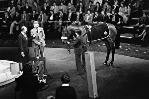 Red Rum makes an appearance on the BBC Sports Review of 1977. 13th December 1977 Red Rum makes an appearance on the BBC Sports Review of 1977. 13th December 1977