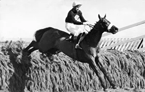 Red Rum at full stretch as he jumps over fence on his way to winning the Grand National Red Rum at full stretch as he jumps over fence on his way to winning the Grand National