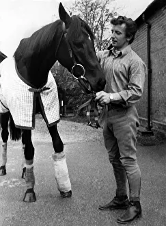Mill Reef with the stable lad John Hallum walking round the stables at Kingsclere today Mill Reef with the stable lad John Hallum walking round the stables at Kingsclere today