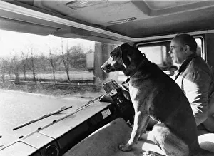 Riding High: Sam sits up proudly in the passenger seat. April 1977 P006029 Riding High: Sam sits up proudly in the passenger seat. April 1977 P006029