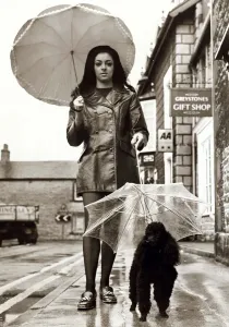 Rikki the Poodle Dog with its own umbrella, walking down the road with owner Rikki the Poodle Dog with its own umbrella, walking down the road with owner