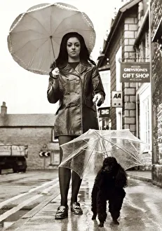 Rikki the Poodle Dog with its own umbrella, walking down the road with owner Rikki the Poodle Dog with its own umbrella, walking down the road with owner