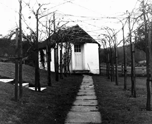 Roald Dahl writer author garden with pleached limes leads to the shed in the garden where Roald Dahl writer author garden with pleached limes leads to the shed in the garden where