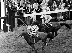 Sagaro and jockey Lester Piggott wins from Crash Course (B Taylor Sagaro and jockey Lester Piggott wins from Crash Course (B Taylor