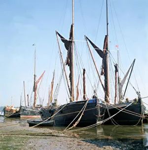 Sailing Barges moored on the River Thames. September 1973 Sailing Barges moored on the River Thames. September 1973