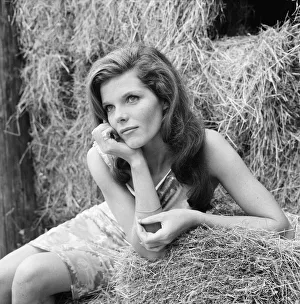 Samantha Eggar, British actress, pictured at Gabriel's Manor Farm in Edenbridge Samantha Eggar, British actress, pictured at Gabriel's Manor Farm in Edenbridge
