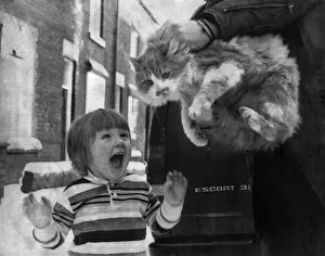 Sammy the high-prize cat was back with his two-year old owner Daniel Gudojc yesterday Sammy the high-prize cat was back with his two-year old owner Daniel Gudojc yesterday
