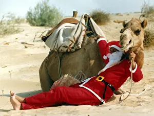 Santa Claus cools off by sitting in the shade of a camel in the desert on his way to Santa Claus cools off by sitting in the shade of a camel in the desert on his way to