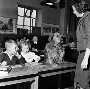 School teacher Mrs Sheila Collier called the register and found she had an extra pupil School teacher Mrs Sheila Collier called the register and found she had an extra pupil