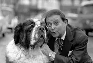 Images Dated 12th January 1975: Shane the St. Bernard dog with Derek Roy, Britains biggest dog goes into showbiz