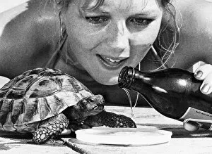 Images Dated 10th July 1977: Shauna Kyle with her tortoise Nippy who drinks beer 1977