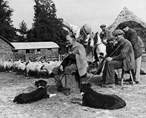 Shepherd Hairdressing Farm labourers in the hills of Shropshire were growing Shepherd Hairdressing Farm labourers in the hills of Shropshire were growing