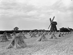 The Shiremark Mill near Horsham on the Surrey, Sussex borders. August 1933 987 The Shiremark Mill near Horsham on the Surrey, Sussex borders. August 1933 987