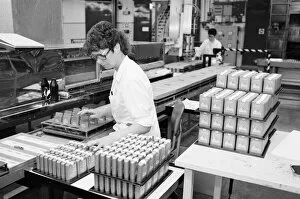 Images Dated 16th May 1990: Shultons, Cosmetics factory, Seaton Delaval, Northumberland, North East, England