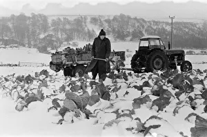 Snow scenes in the Hutton Rudby area. 1971 Snow scenes in the Hutton Rudby area. 1971