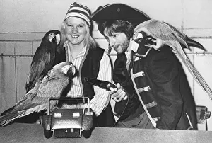 These three South American Parrots feel right at home with the pirates These three South American Parrots feel right at home with the pirates