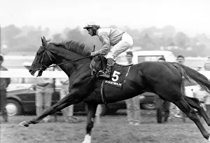 SPT. Horse Racing, Race Horses iNI. July 1989 P000036 SPT. Horse Racing, Race Horses iNI. July 1989 P000036
