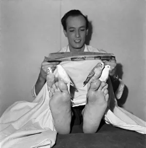 Stage illusionist Kodell with his Budgerigar. September 1952 C4775 Stage illusionist Kodell with his Budgerigar. September 1952 C4775