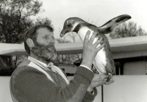 Steve the penguin back at London Zoo after being kidnapped for a night Steve the penguin back at London Zoo after being kidnapped for a night
