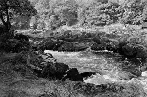 Images Dated 1st September 1971: The Strid, Bolton Abbey, North Yorkshire. September 1971