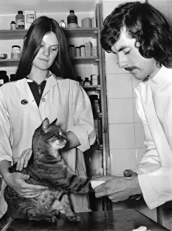 Images Dated 29th June 1972: Student veterinary nurse Caroline Smith, 16, who is under training with veterinary