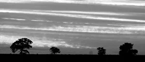 The sun sets over countryside in Kingsbury stand alone The sun sets over countryside in Kingsbury stand alone