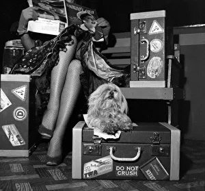 Susie the dog is hidden in the trunk during Alma Michael's circus act Susie the dog is hidden in the trunk during Alma Michael's circus act