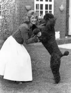Television presenter and news reader Jan Leeming at home with her dog Television presenter and news reader Jan Leeming at home with her dog