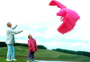 Ther is such a thing as a flying pig in May 1993 Ther is such a thing as a flying pig in May 1993