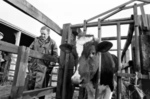 Thirsk Racing Stables: Mr. Arthur J. Herriot Vet at Thirsk Racing Stables Thirsk Racing Stables: Mr. Arthur J. Herriot Vet at Thirsk Racing Stables