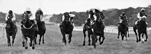 A tight finish as Ferriby Hall (second left) wins the Gosforth Park Cup from Sanu A tight finish as Ferriby Hall (second left) wins the Gosforth Park Cup from Sanu