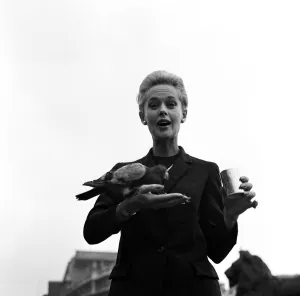 Tippi Hendren Actress star of the film The Birds Tippi Hedren Tippi Hendren Actress star of the film The Birds Tippi Hedren