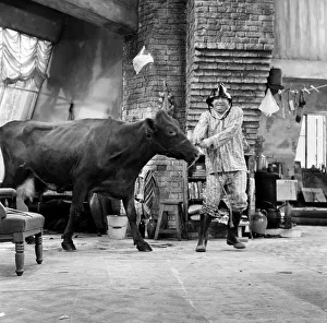 Tony Hancock with a cow on the set of The Rebel at Elstree. 2nd August 1960 Tony Hancock with a cow on the set of The Rebel at Elstree. 2nd August 1960