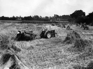 Tractors at work during a harvesting scene in England. Circa 1970 P004513 Tractors at work during a harvesting scene in England. Circa 1970 P004513