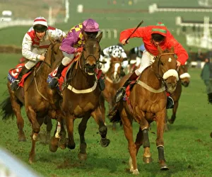 Trainglot right wins from Treasure Again mauve and yellow check colours in the Coral Cup Trainglot right wins from Treasure Again mauve and yellow check colours in the Coral Cup