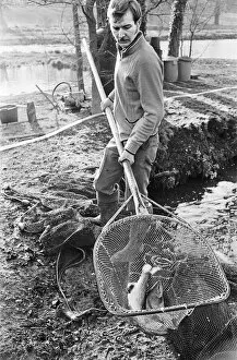 Images Dated 13th February 1976: Trout farmer breeding trout. 13th February 1976