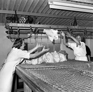 Turkey farm and meat packing factory of John Lintern. General scene in Turkey farm and meat packing factory of John Lintern. General scene in