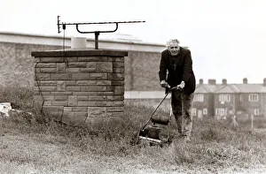Unusual - Rooftop Garden - Harold Cooper of Gilesgate Moor Unusual - Rooftop Garden - Harold Cooper of Gilesgate Moor