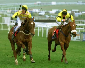 Urabande and jockey Charlie Swan winning the Sun Alliance Novices Hurdle at Cheltenham Urabande and jockey Charlie Swan winning the Sun Alliance Novices Hurdle at Cheltenham