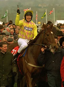 Urubande and jockey Charlie Swan after winning the Sun Alliance Novices Chase at Urubande and jockey Charlie Swan after winning the Sun Alliance Novices Chase at