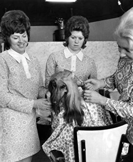 Images Dated 1st October 1971: V. I. P. Treatment: Who is the blonde getting the VIP Treatment