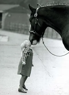 Victoria May, 4, kisses Barley the Brewery Horse on the nose Victoria May, 4, kisses Barley the Brewery Horse on the nose