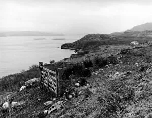 Images Dated 26th January 1992: A view over Loch Ewe, which was a potential site in 1992 for a Super Quarry