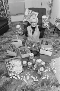 Volunteer Poppy Seller prepares for the Poppy Appeal, Middlesbrough, Teesside Volunteer Poppy Seller prepares for the Poppy Appeal, Middlesbrough, Teesside
