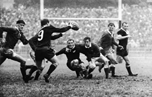 Wales v All Blacks 11th November 1967 All Blacks No9 C R Laidlow takes possession Wales v All Blacks 11th November 1967 All Blacks No9 C R Laidlow takes possession