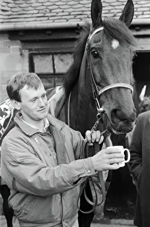 West Tip seen here having a cup of tea on his return to his stables after winning West Tip seen here having a cup of tea on his return to his stables after winning